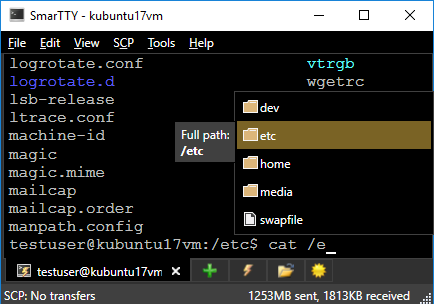SmarTTY Smart Terminal showing auto-completion suggestions and the directory browser panel